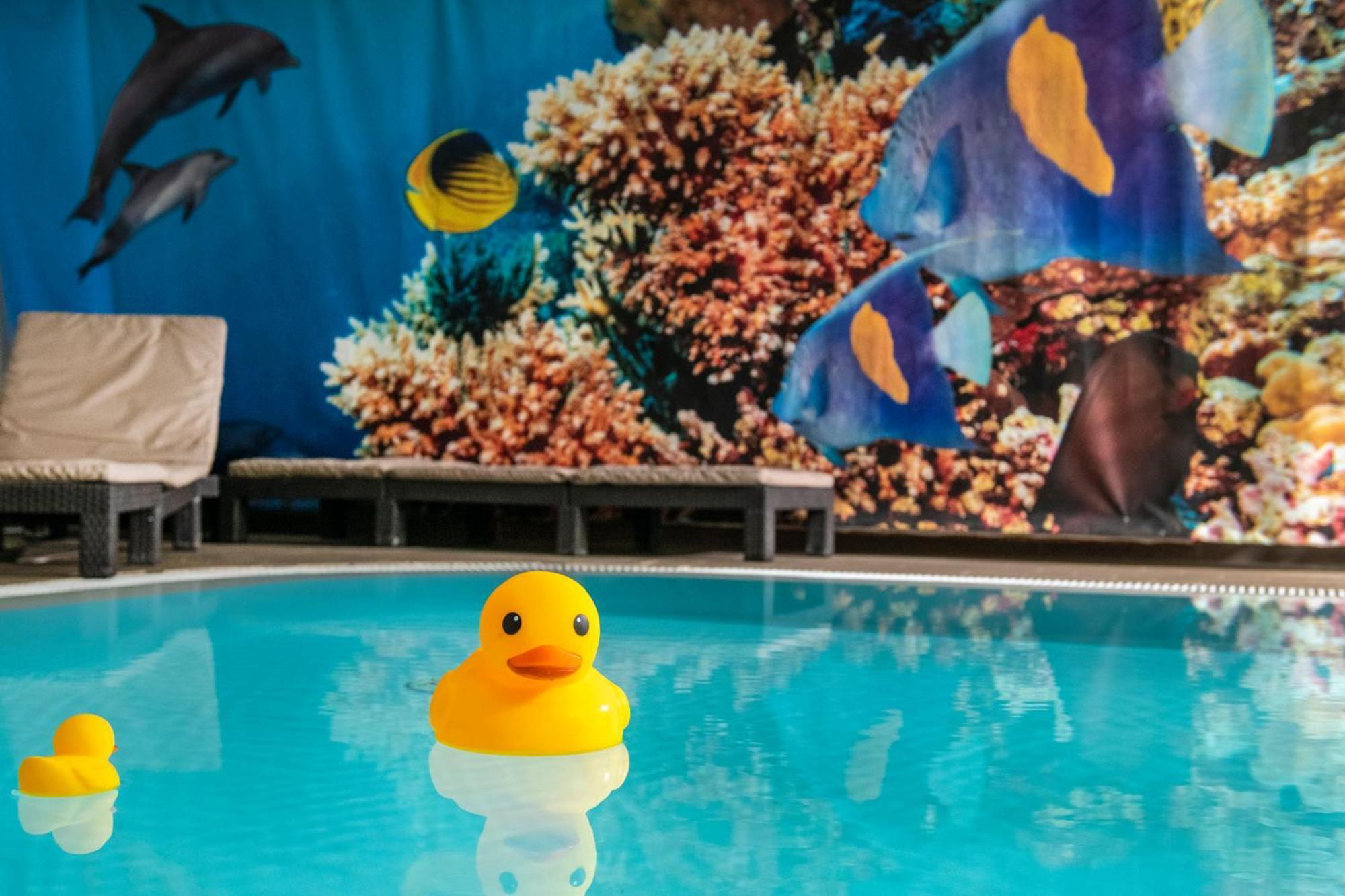 Oxigen Family Hotel Noszvaj Dış mekan fotoğraf